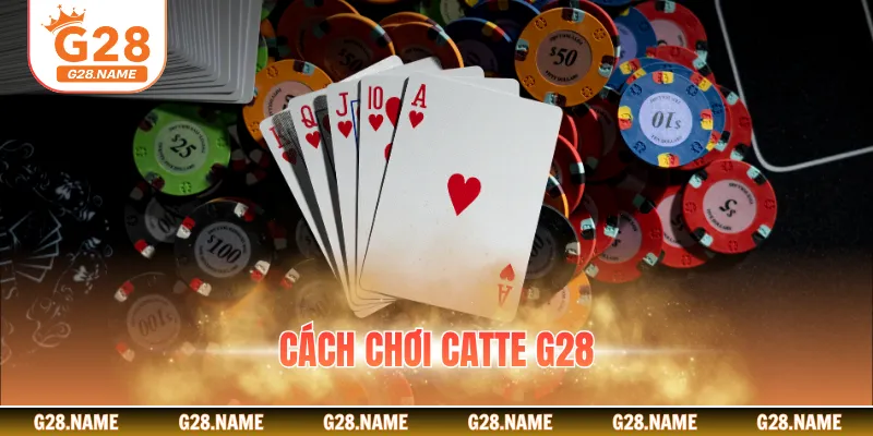 Cách Chơi Catte G28 - Bỏ Túi Ngay Mẹo Hay Và Đơn Giản Từ Cao Thủ