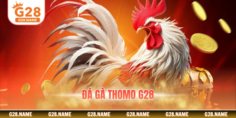 Đá Gà Thomo G28 Chi Tiết Cách Chơi Và Mẹo Thắng Lớn Khi Vào Tiền